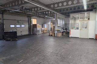 Gewerbeimmobilie mieten in 67227 Frankenthal, Vielseitig verwendbare beheizbare Lagerfläche für Produktion oder Logistik