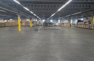 Gewerbeimmobilie mieten in 67227 Frankenthal, Vielseitig verwendbare beheizbare Lagerfläche für Produktion oder Logistik