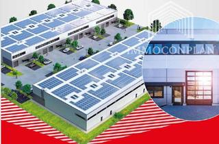 Büro zu mieten in 67227 Frankenthal, Größe XL Lagerhalle mit Büro ab 01.01.2026 verfügbar