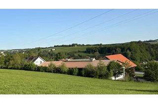 Gewerbeimmobilie mieten in Lüfteneck, 94034 Grubweg, Lagerhalle Stadt Passau