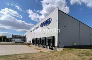 Gewerbeimmobilie mieten in 64331 Weiterstadt, Neubauprojekt | 10.000m² Logistikfläche | Rampen und ebenerdige Tore