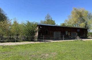 Grundstück zu kaufen in 93326 Abensberg, Idyllisches Freizeitgrundstück am Ortsrand von Mitterhörlbach bei Abensberg
