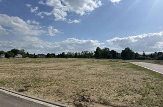 Grundstück zu kaufen in An Der Gartenstadt, 04425 Taucha, Bauträgerfreies Grundstück in Taucha bei Leipzig