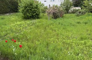 Grundstück zu kaufen in 63322 Rödermark, Abrissgrundstück Ein- bis Zweifamilienhaus, in ruhiger Lage "Ober-Roden"