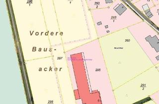 Grundstück zu kaufen in 63636 Brachttal, Baugundstück für Projektentwicklung in der Zwangsersteigerung - kostenfreie Informationen