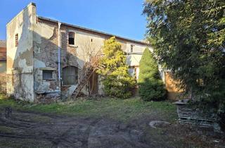 Grundstück zu kaufen in 01259 Großzschachwitz, Kompaktes, sonniges Grundstück mit einem Abrisshaus in zweiter Reihe, wartet auf Ihren Neubau!