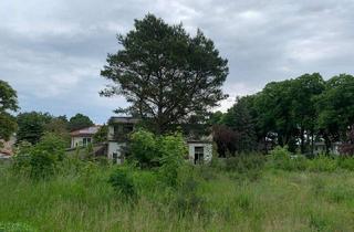 Grundstück zu kaufen in Otto-Krien-Strasse/Ecke Miersdorfer-Strasse, 15732 Schulzendorf, Baugrund , Bauplatz erschlossen ,Schulzendorf im Speckgürtel von Berlin