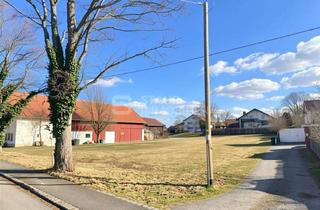 Grundstück zu kaufen in 86943 Thaining, Sonniges Baugrundstück in Thaining