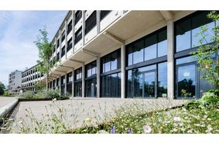 Gewerbeimmobilie kaufen in An Der Schmiede 15, 86899 Landsberg, Repräsentative Galerie-Fläche für Büro- und Praxisnutzung