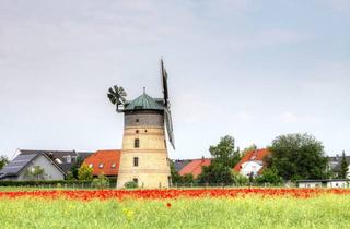 Immobilie mieten in Muellerring, 04158 Lindenthal, Zimmer zu vermieten