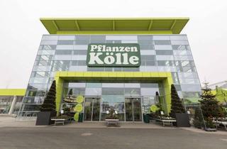 Geschäftslokal mieten in Geisseestraße 65, 90439 Nürnberg, Attraktive Ladenfläche im Pflanzen-Kölle Nürnberg