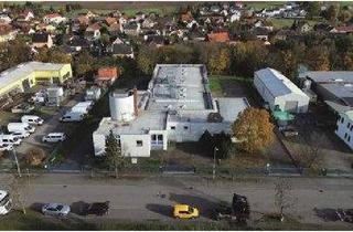 Gewerbeimmobilie kaufen in 01458 Ottendorf-Okrilla, Gewerbeobjekt für Produktion oder Lager mit Büro