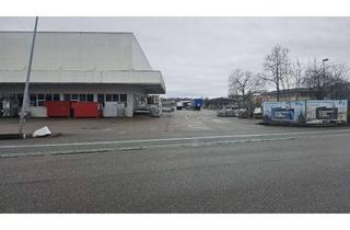Gewerbeimmobilie mieten in Heinrich-Hertz-Straße 23, 77656 Offenburg, Top-Lage: 3.000 m² befestigte Freilagerfläche mit exzellenter Anbindung