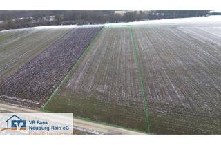 Gewerbeimmobilie kaufen in 85049 Ingolstadt, Vekauf einer Ackerfläche bei Irgertsheim im Bieterverfahren