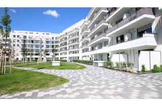 Penthouse mieten in Rosenfelder Ring 160, 10315 Friedrichsfelde, Sommertraum ganz oben.