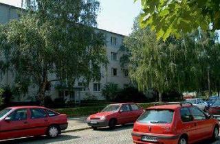 Wohnung mieten in Am Plänterwald 16, 12435 Plänterwald, 2-Zimmer Wohnung im Grünen, Am Plänterwald 16, 3.G RE