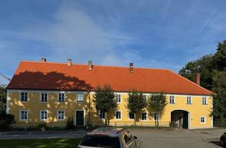 Wohnung mieten in Graf-Von-Bray-Straße 11, 94342 Irlbach, 3,5 Zimmer Wohnung in Irlbach