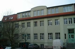 Wohnung mieten in Dornsgasse 19a, 99510 Apolda, Helle 2 ZKB Wohnung neben Paulinenpark (P5)