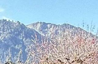 Wohnung mieten in 83661 Lenggries, Renovierte 1-Zimmer-Wohnung mit Balkon in Lenggries - privat, provisionsfrei