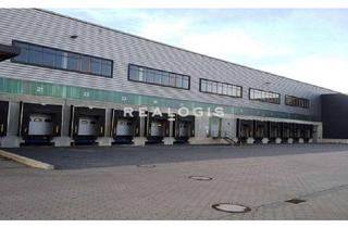 Gewerbeimmobilie mieten in 15834 Rangsdorf, Berlin Rangsdorf, ca. 31.800 m² Logistikneubau