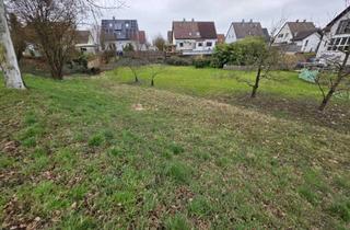 Grundstück zu kaufen in 76437 Rastatt, ++ Tolles bebaubares Grundstück mit ca. 642 qm für 2x DHH od. gr. EFH in ruhiger Lage von Rastatt ++