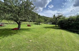 Grundstück zu kaufen in 72393 Burladingen, Großes Baugrundstück mit landwirtschaftlicher Fläche