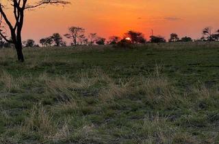 Grundstück zu kaufen in 48629 Metelen, Damit es kein Traum bleibt-Baugrundstück gesucht