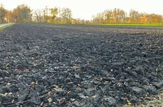 Grundstück zu kaufen in 85452 Moosinning, "SEHR GUT ERREICHBARES - EBENES ACKERLAND"