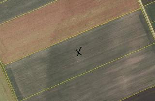 Grundstück zu kaufen in 85452 Moosinning, "WERTVOLLES ACKERLAND"