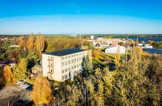 Gewerbeimmobilie kaufen in 02991 Lauta, Eigennutzung mit Investment verbinden!