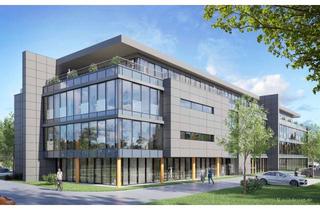 Büro zu mieten in Barkhauser Straße 15, 33106 Paderborn, Neubau einer modernen Büro- und Praxisimmobilie