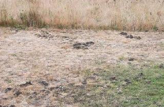 Gewerbeimmobilie kaufen in 27777 Ganderkesee, Baugrundstück UND Neubau = hoch effizient