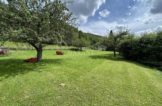 Grundstück zu kaufen in 72393 Burladingen, Großes Baugrundstück mit landwirtschaftlicher Fläche