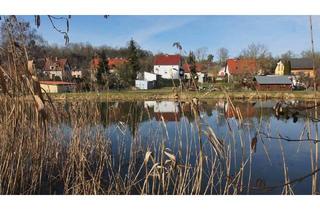 Einfamilienhaus kaufen in 16248 Niederfinow, Niederfinow - Niederfinow - Einfamilienhaus mit Nebengelass in idyllischer Lage am Finowkanal mit Bahnanbindung