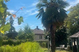 Mehrfamilienhaus kaufen in 79639 Grenzach-Wyhlen, Grenzach-Wyhlen - Mehrfamilienhäus mit 4 Wohnungen