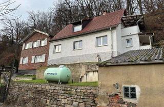 Einfamilienhaus kaufen in 07407 Uhlstädt-Kirchhasel, Uhlstädt-Kirchhasel - Saniertes, ländlich gelegenes Einfamilienhaus in Niederkrossen