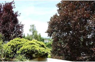 Wohnung kaufen in 63303 Dreieich, Repräsentative Terrassenwohnung in repräsentativer und gepflegter Liegenschaft - Barrierefrei !!