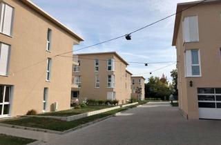 Wohnung mieten in Im Stadtkern 10, 76870 Kandel, ** TOP WOHNUNG + BALKON + KÜCHE + 2 GARAGEN ++