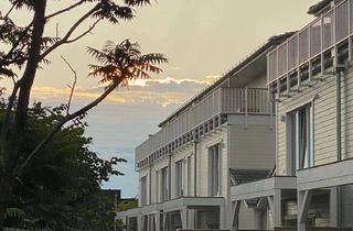 Wohnung mieten in Rosenburger Weg 1i, 25813 Husum, Moderne 2 Zimmer-Wohnung mit Dachterrasse