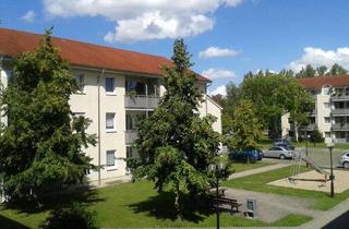 Wohnung mieten in Alte Lauchstädter Straße, 06217 Merseburg, Fliegerstädtchen I schöne 2-Zimmer-EG-Wohnung mit Balkon, Laminat und Wanne in gepflegter Anlage