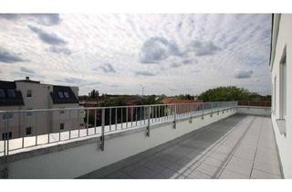 Penthouse mieten in Rosenfelder Straße 27, 10315 Friedrichsfelde, Friedrichsfelde - Lass die Sonne in dein Herz.