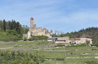 Penthouse mieten in 74855 Haßmersheim, EXKLUSIVES PENTHOUSE: 4-Zimmer mit 2 Terrassen, Einbauküche & Stellplatz