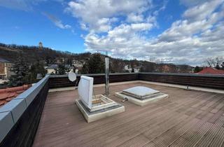 Wohnung mieten in Winzerstraße 78a, 01445 Radebeul, gemütliche 2-Raum Dachgeschosswohnung mit großer Dachterrasse