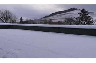 Wohnung mieten in Untertürkheimer Straße 45, 70734 Fellbach, Sehr helle 2-Zi.-Wohnung mit sehr großer Dachterrasse für 1-2 Personen, Erstbezug nach Kernsanierung