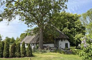 Haus kaufen in 18225 Kühlungsborn, Grundstück mit historischen Reetdach-Hallenhaus