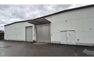 Gewerbeimmobilie mieten in Riedheimer Straße 6-10, 89129 Langenau, Gewerbehallen mit elektrischem Rolltor in Langenau zu vermieten