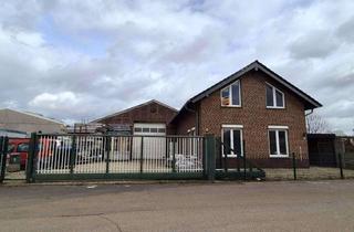 Gewerbeimmobilie kaufen in Von Humbold Straße 6a, 52538 Selfkant, Attraktive Gewerbehalle mit 4,5m hohem Rolltor und Wohnhaus …