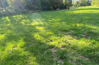 Grundstück zu kaufen in Steinacker, 75180 Büchenbronn, Traumhaftes Gartengrundstück in Pforzheim Büchenbronn