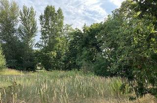 Grundstück zu kaufen in 14542 Werder (Havel), Wohnen am Waldrand