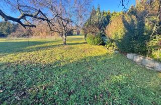 Grundstück zu kaufen in 75236 Kämpfelbach, Erholung pur: Gartengrundstück im beliebten Gartenhausgebiet bei Kämpfelbach